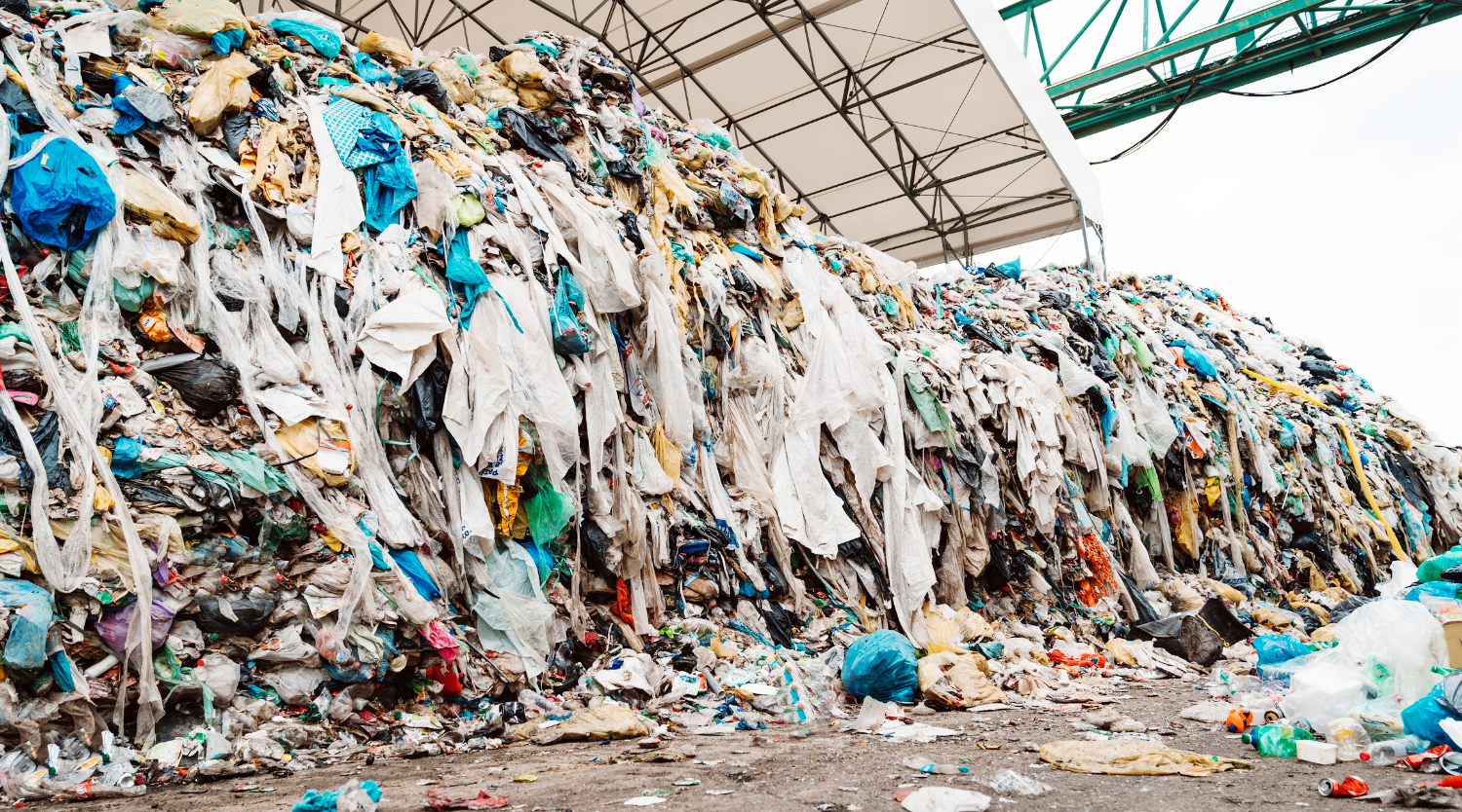 Artigo | O lixo e a reciclagem: fonte de geração de emprego, renda e preservação ambiental